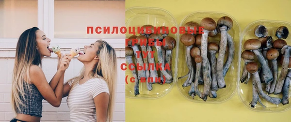 шишки Бронницы